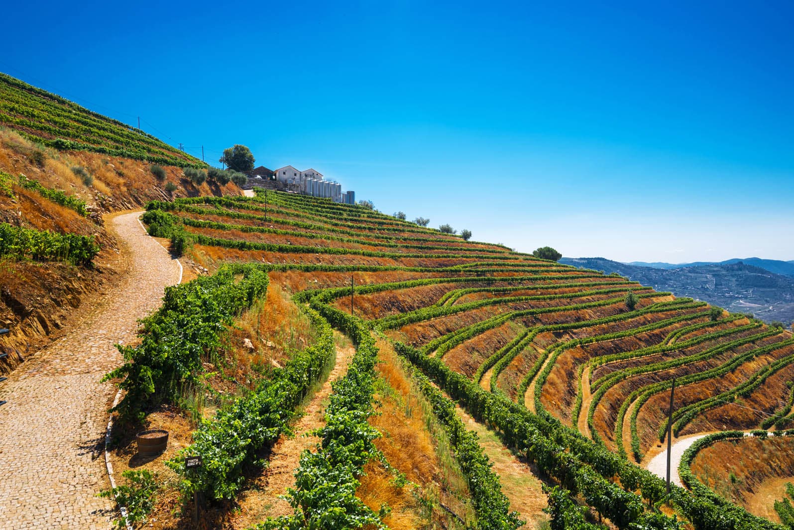 5 azienda-vinicola-portogallo