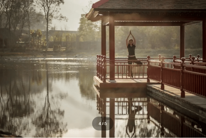 Vietnam Wellness