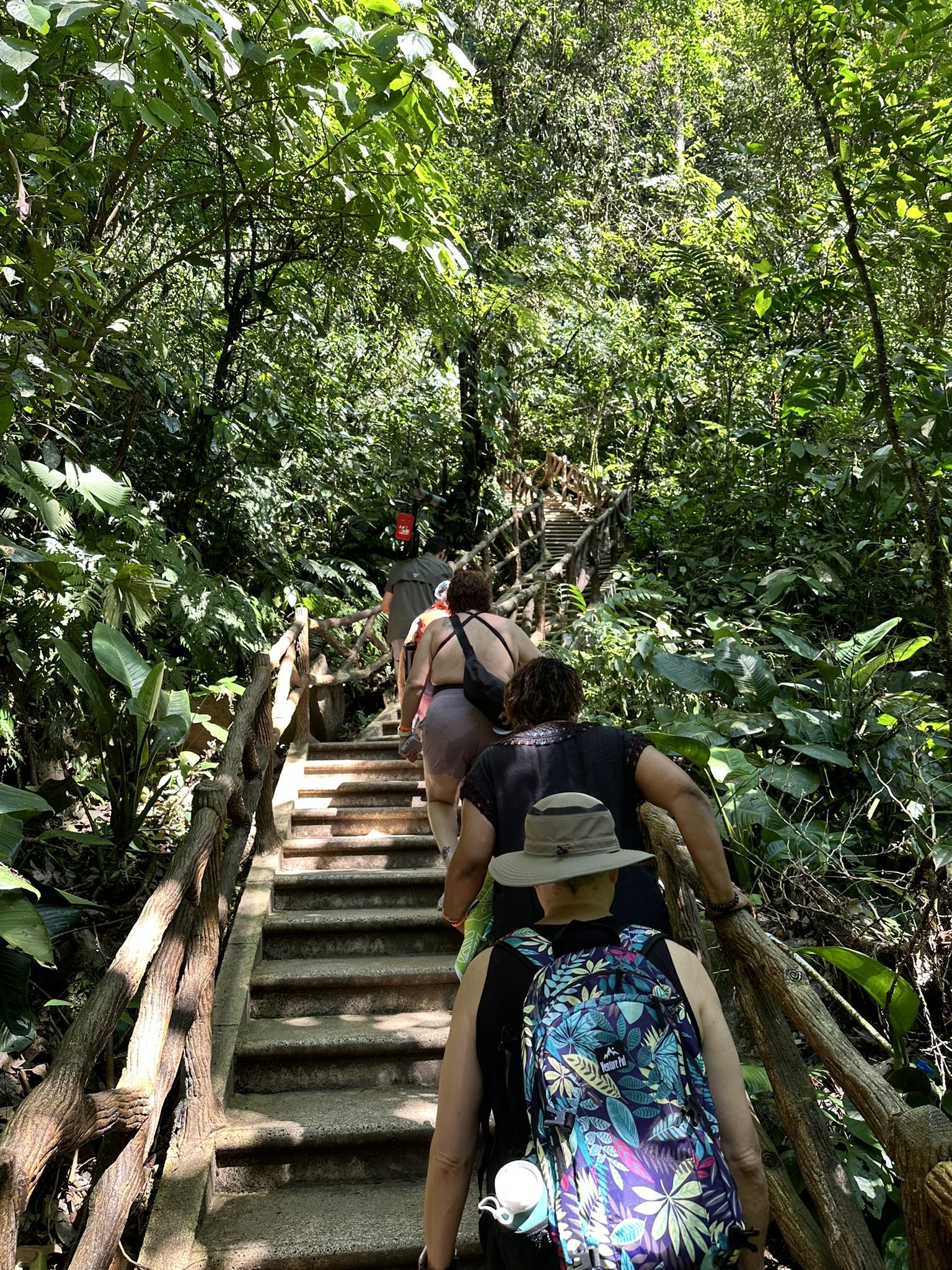 WTA Travelers hiking at Arenal Trail WTA Travelers hiking at Arenal Trail