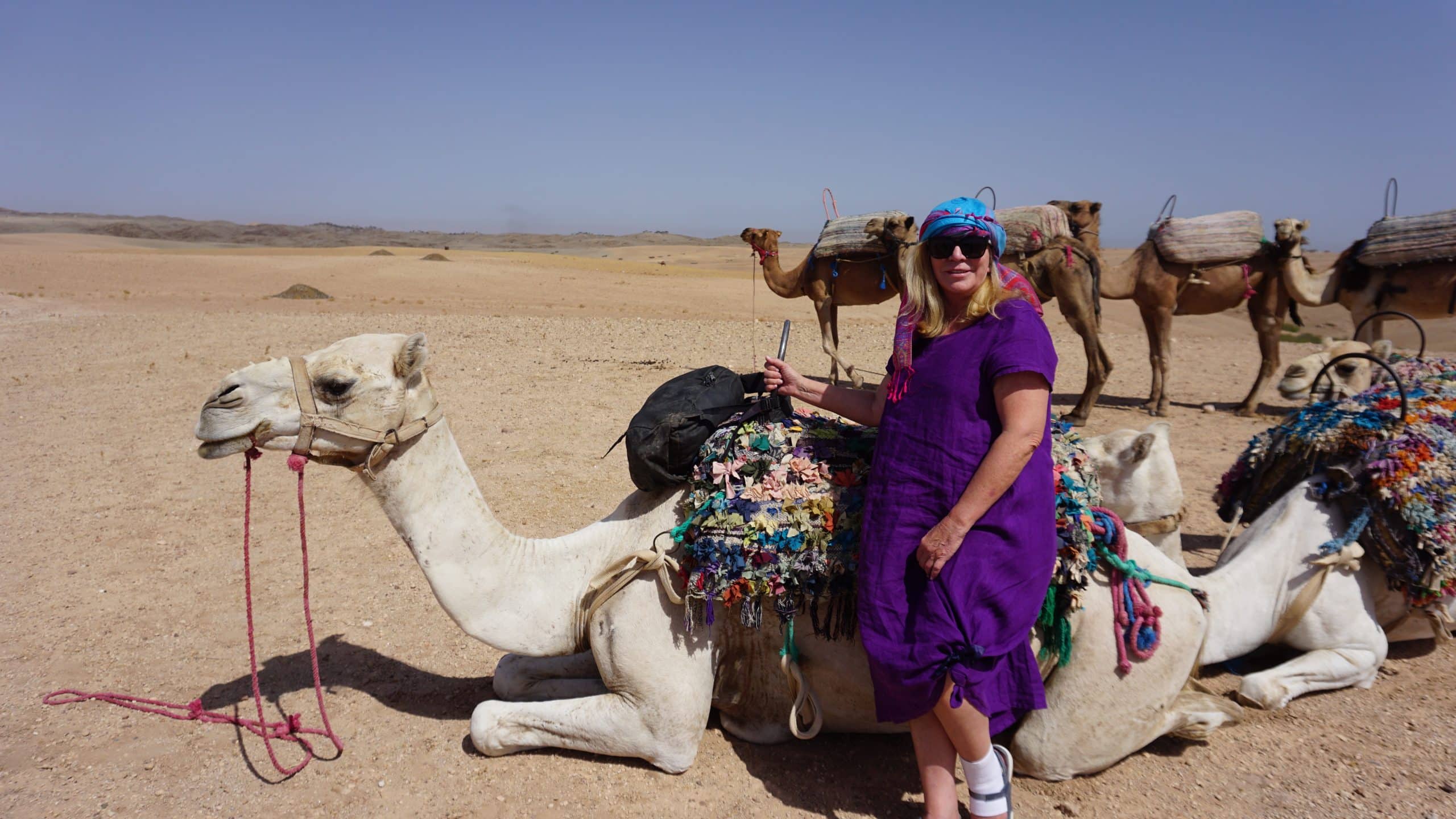 WTA traveler enjoying a camel trek through the Sahara’s golden dunes WTA traveler enjoying a camel trek through the Sahara’s golden dunes
