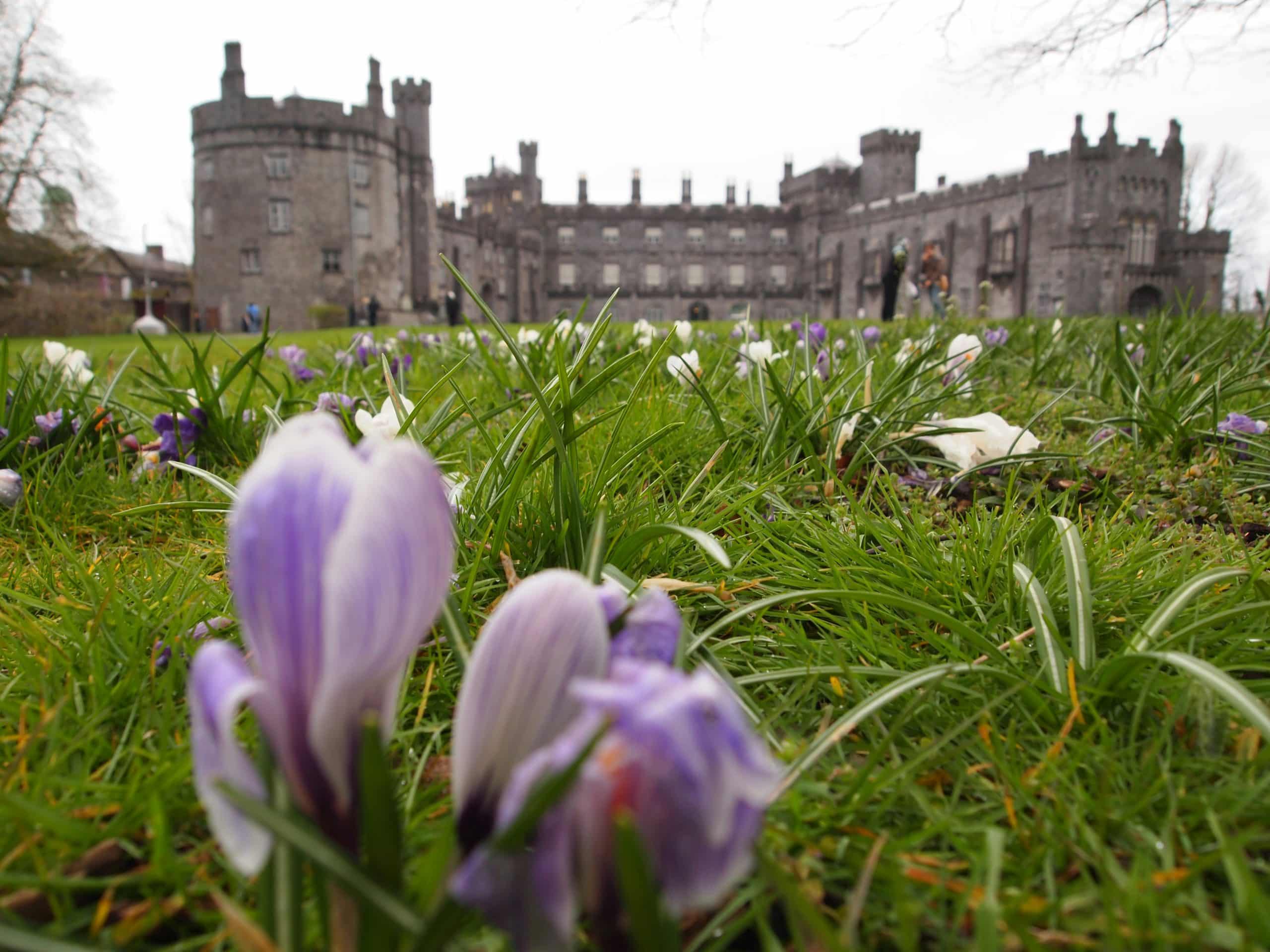 Kilkenny Castle in Ireland Kilkenny Castle in Ireland