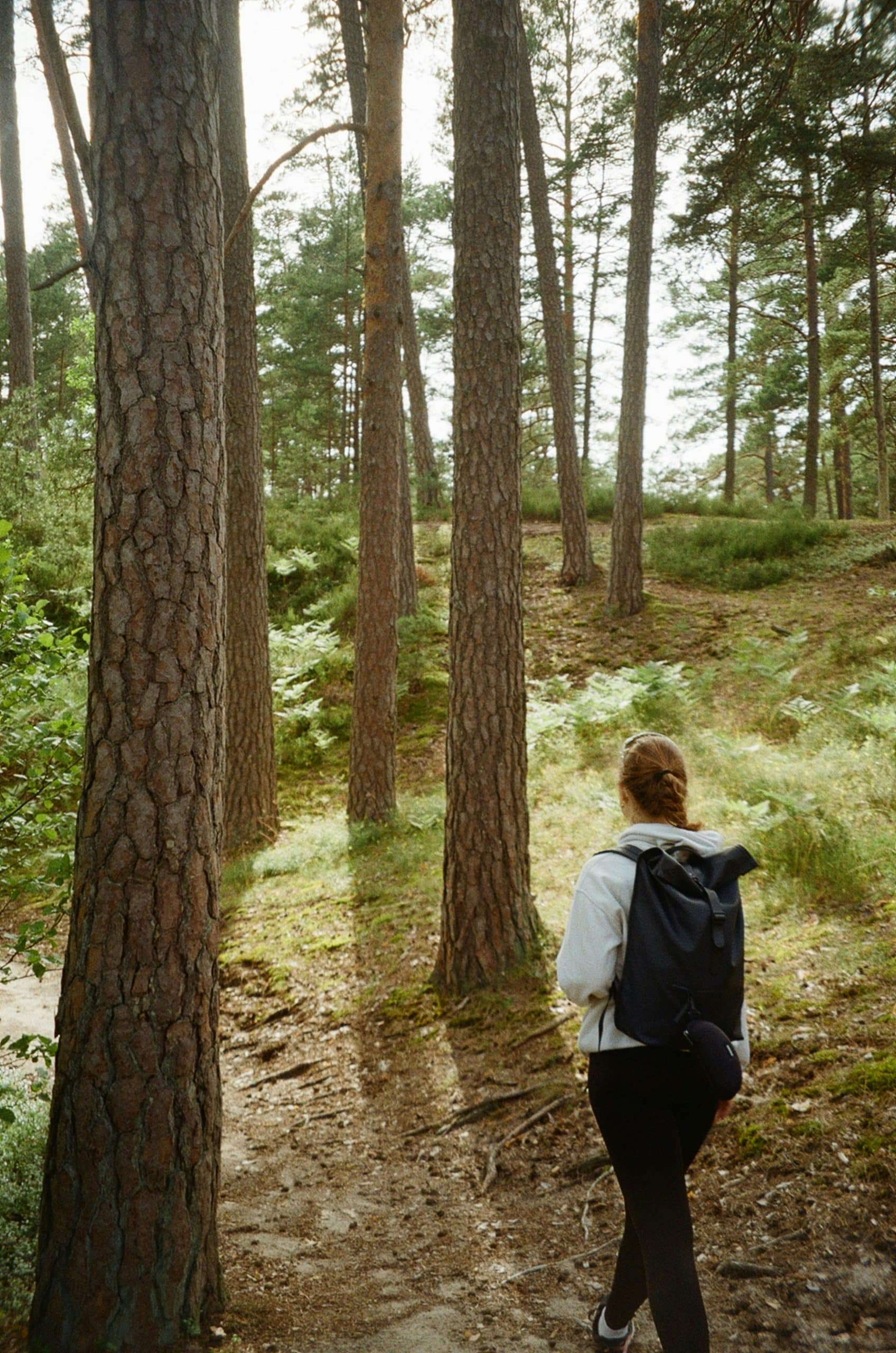woman walking in the forest, Norway woman walking in the forest, Norway