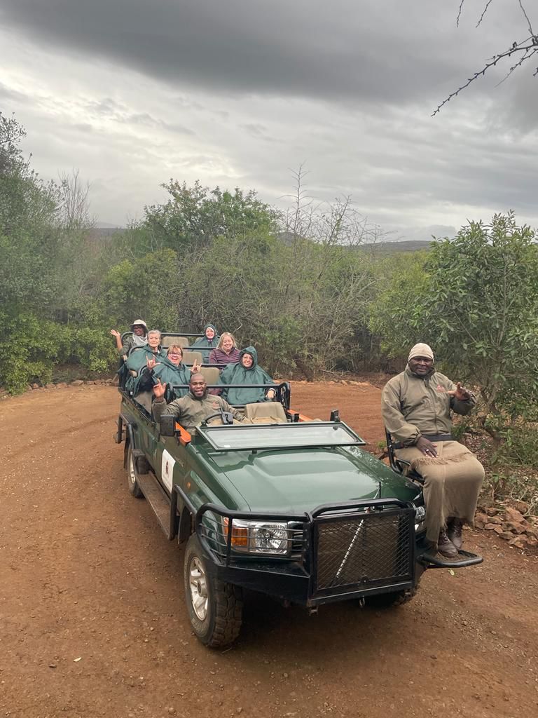 WTA travelers embarking on an unforgettable journey as they explore the wild while riding in a safari jeep—soaking in the sights, sounds, and beauty of nature up close WTA travelers embarking on an unforgettable journey as they explore the wild while riding in a safari jeep—soaking in the sights, sounds, and beauty of nature up close