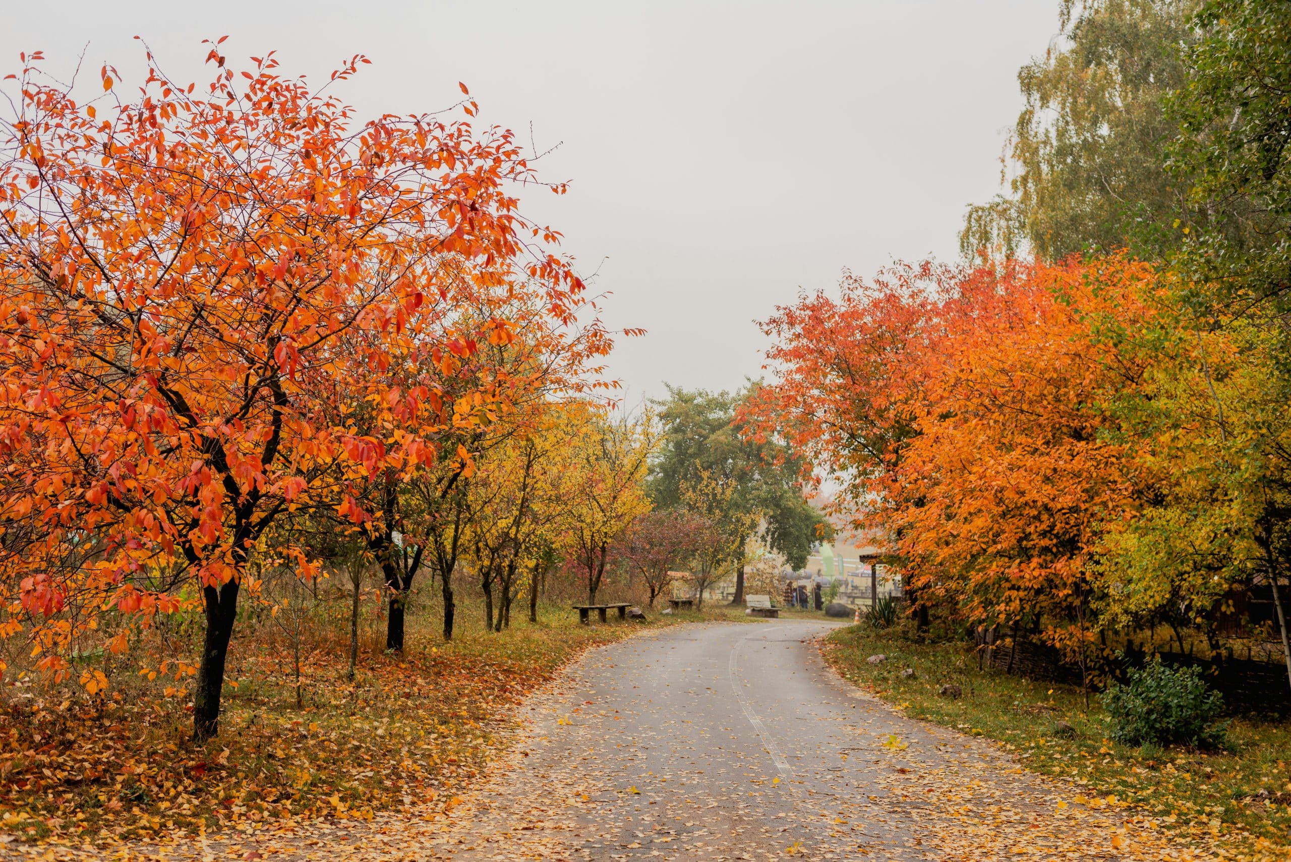 New England’s Classic Autumn Experience New England’s Classic Autumn Experience
