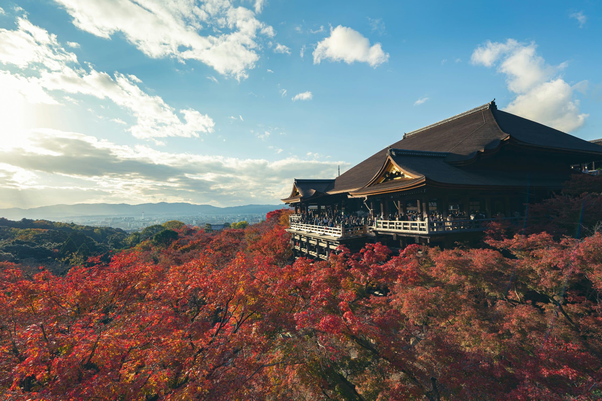 traveler experiencing momijigari at Kyoto’s Tofuku ji Temple traveler experiencing momijigari at Kyoto's Tofuku ji Temple