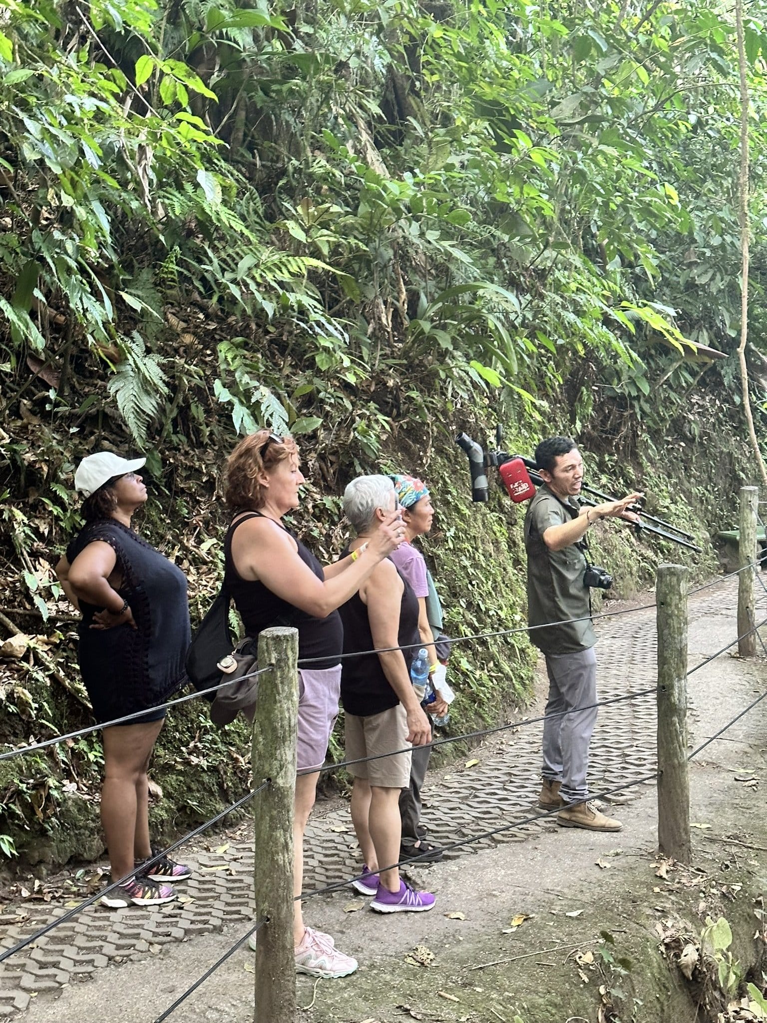 WTA travelers hiking in Costa Rica WTA travelers hiking in Costa Rica