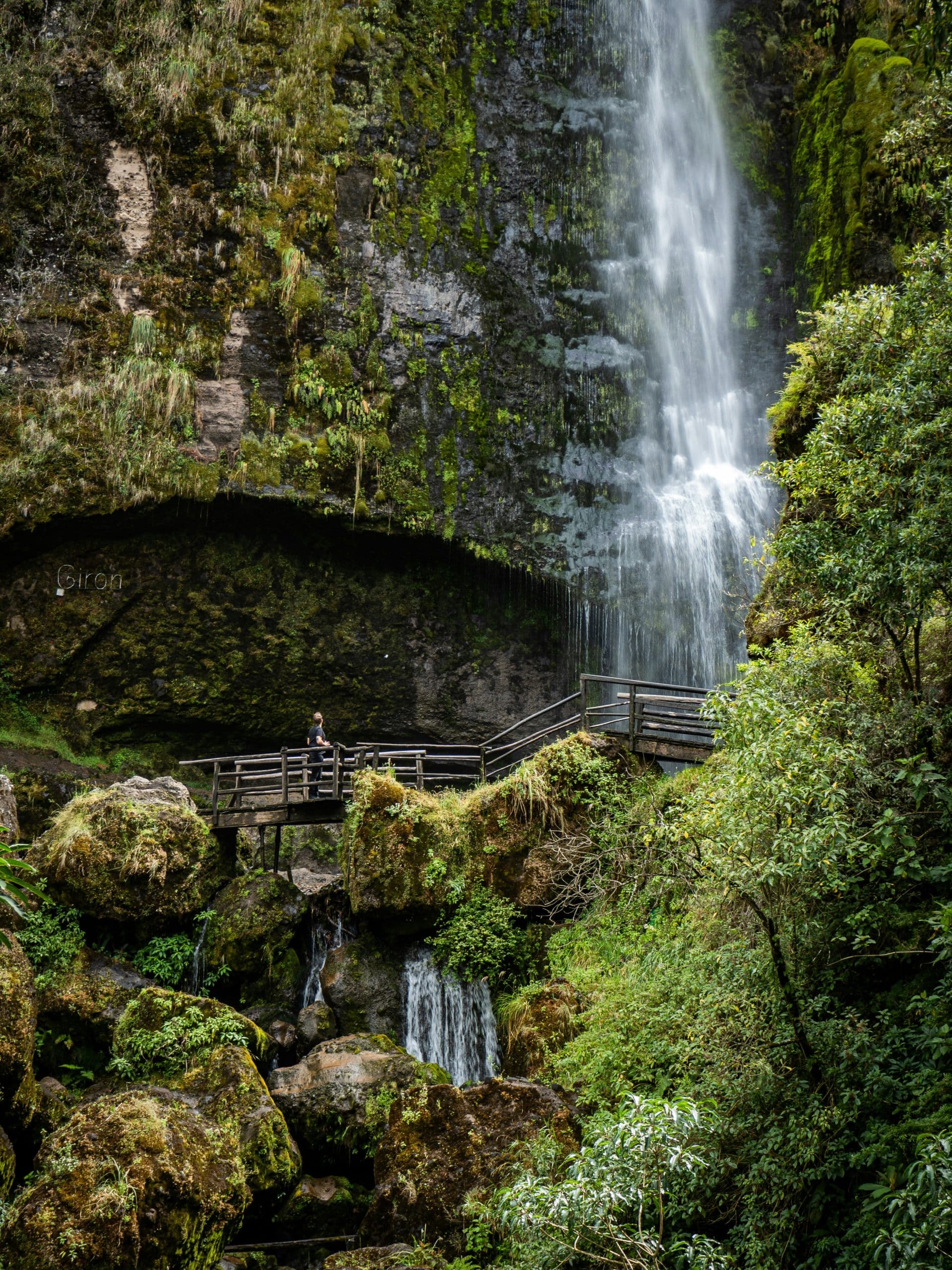Waterfall and rainforest scenery along the Milford Track in Fiordland National Park, New Zealand Waterfall and rainforest scenery along the Milford Track in Fiordland National Park, New Zealand