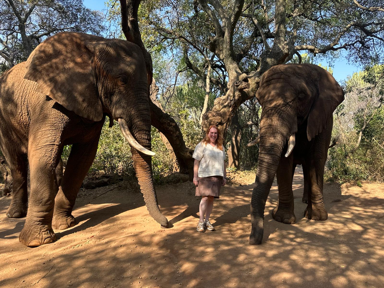 WTA – Women travel with Elephants in South Africa WTA - Women travel with Elephants in South Africa