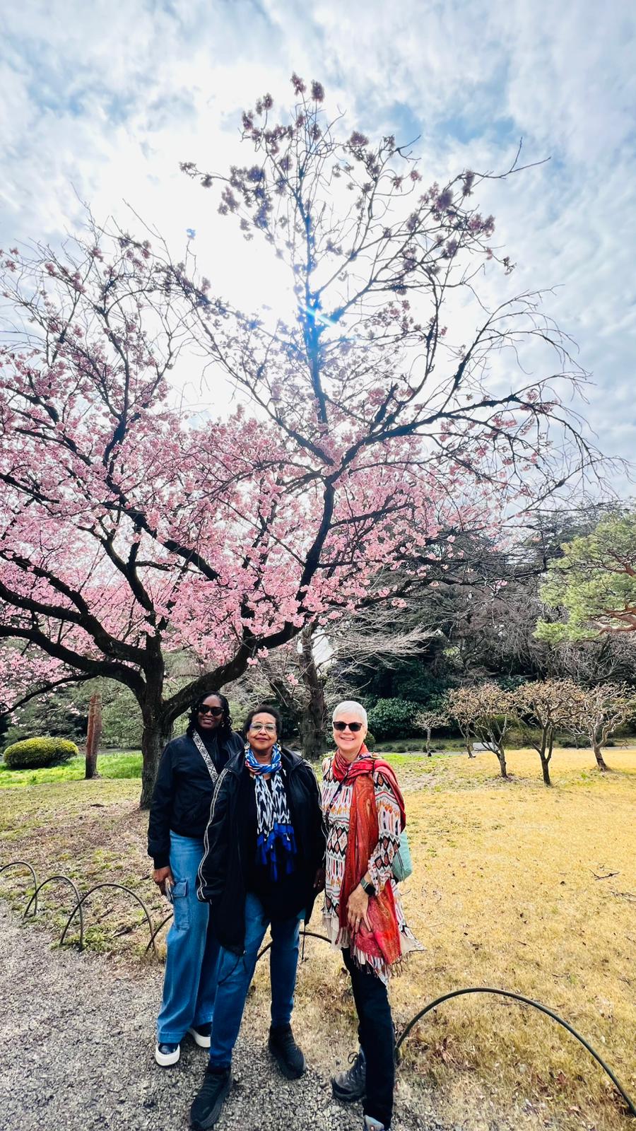 WTA traveler enjoying cherry blossoms in Japan