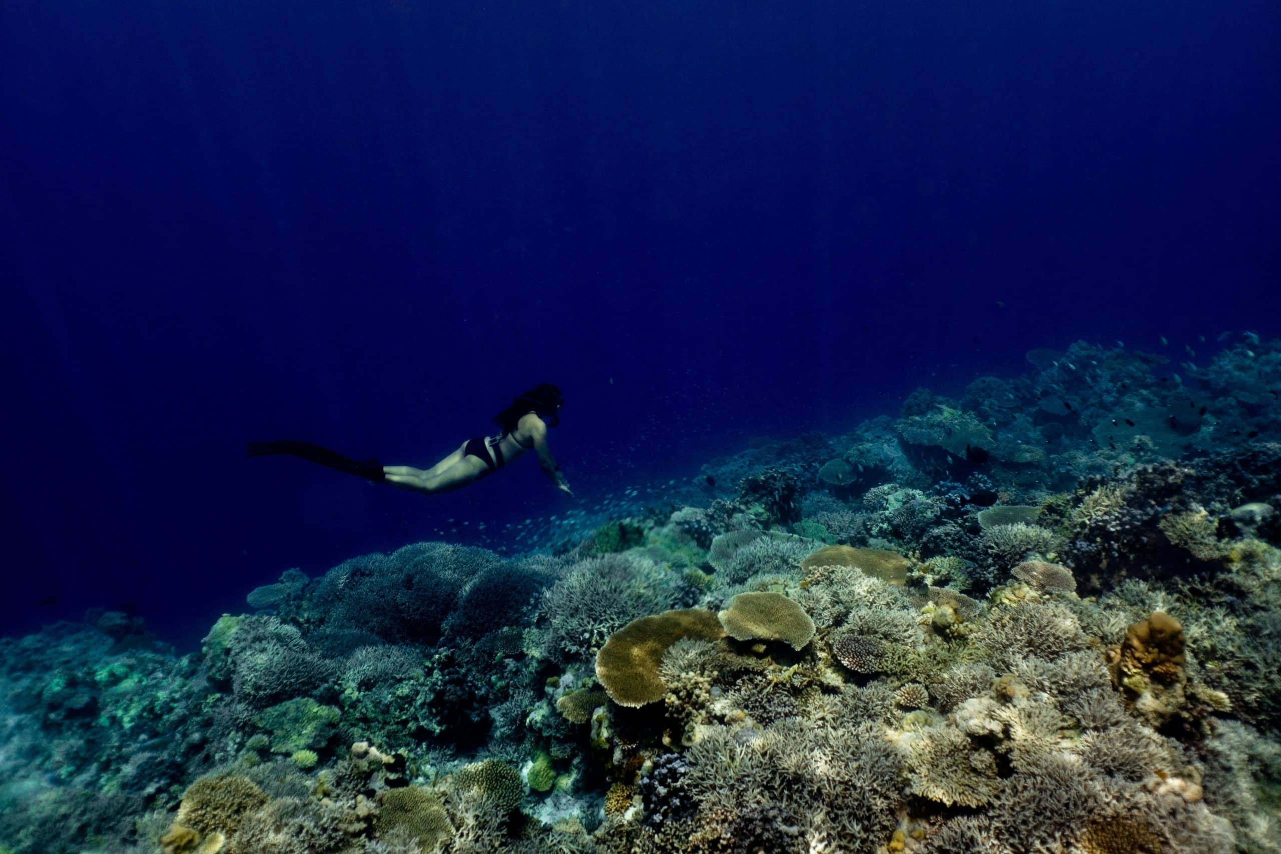 Women diving at Apo Reef – the second largest contiguous coral reef system in the world Women diving at Apo Reef - the second largest contiguous coral reef system in the world