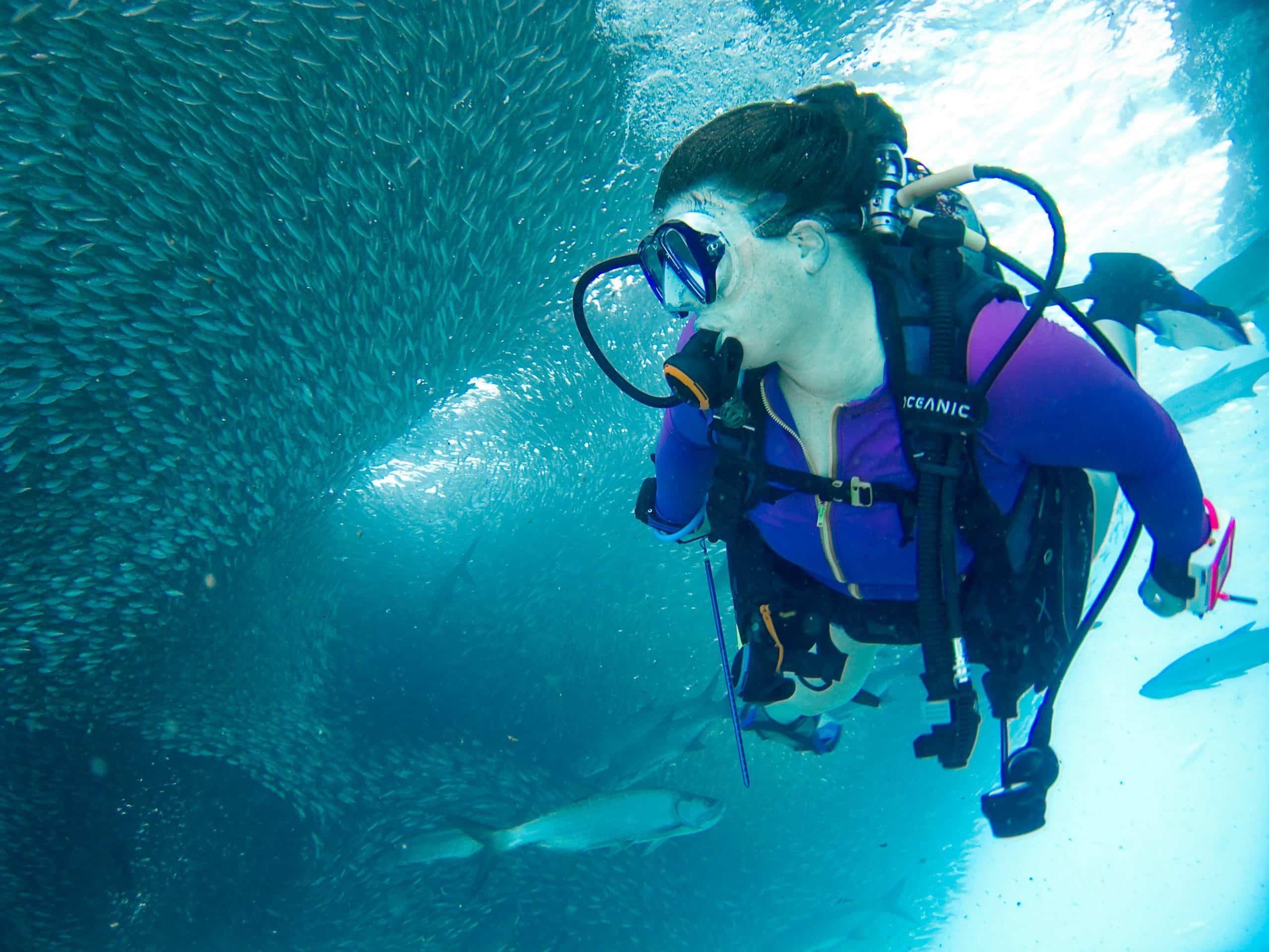 Women diving to see the tarpon corralling the smaller fish against the surface Women diving to see the tarpon corralling the smaller fish against the surface