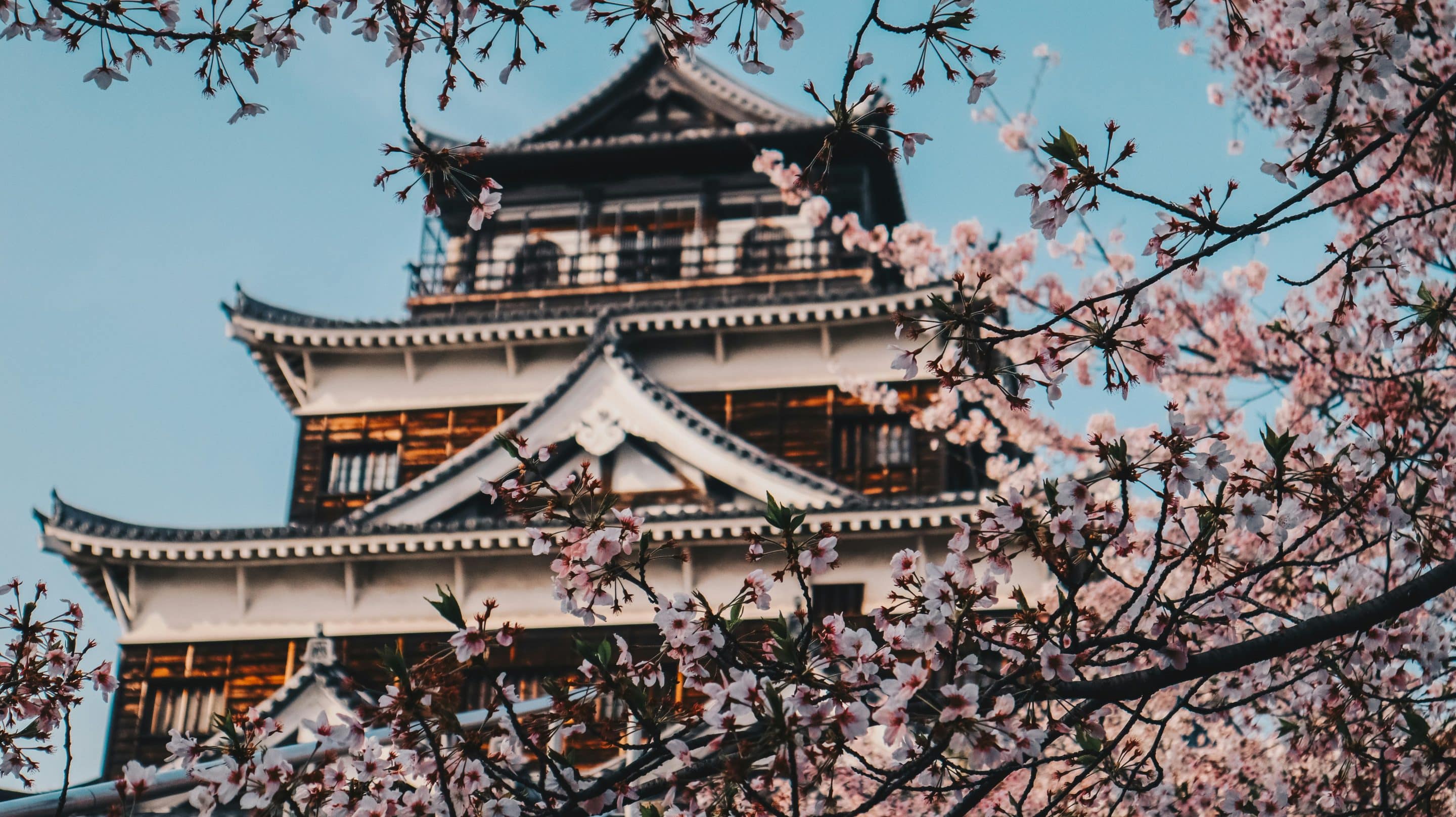 kenshi-kingami-abbFtt0WHWo-unsplash The world-wide famous blooming cherry blossoms of Japan